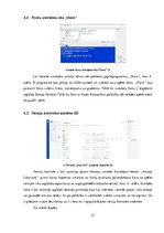 Referāts 'Lietotnes "Animal Labyrinth" izstrāde', 21.