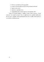 Referāts 'Lietotnes "Animal Labyrinth" izstrāde', 22.