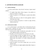 Referāts 'Lietotnes "Animal Labyrinth" izstrāde', 33.