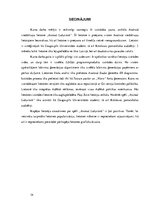 Referāts 'Lietotnes "Animal Labyrinth" izstrāde', 34.