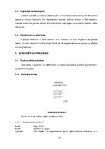 Referāts 'Lietotnes "Animal Labyrinth" izstrāde', 49.