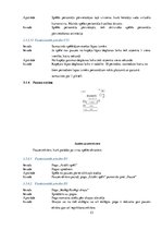 Referāts 'Lietotnes "Animal Labyrinth" izstrāde', 53.