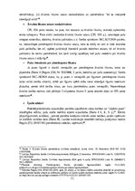 Referāts 'Praktikums starptautiskajās tiesībās
', 11.