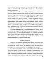 Referāts 'Reklāma, tās mērķi un loma sabiedrībā', 28.