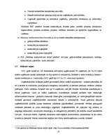 Referāts 'Uzņēmējdarbības attīstība Vidzemes reģionā', 23.