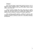 Referāts 'Psihosomatika. Apetītes traucējumi - anoreksija', 8.