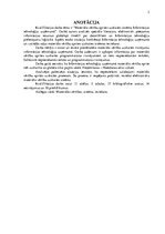 Diplomdarbs 'Materiālo vērtību aprites uzskaites risinājuma ieviešana informācijas tehnoloģij', 2.