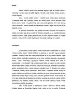 Konspekts 'Valodas bagātība, viena no runas kultūras būtiskām pazīmēm', 2.