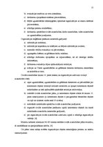 Prakses atskaite 'Prakses atskaite', 13.