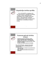 Prakses atskaite 'Prakses atskaite', 47.