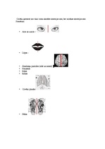 Konspekts 'Aksiālā simetrija. Pagrieziens. Homotētija. Paralēlā pārnese', 2.