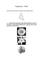 Konspekts 'Aksiālā simetrija. Pagrieziens. Homotētija. Paralēlā pārnese', 3.