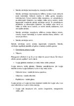 Konspekts 'Gremošanas sistēma', 5.