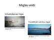 Prezentācija 'Migla', 9.