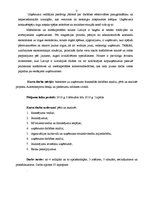 Referāts 'Finanšu analīze. Autotransporta detaļu un piederumu ražotnes izveide', 3.