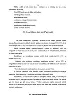 Referāts 'Finanšu analīze. Autotransporta detaļu un piederumu ražotnes izveide', 18.