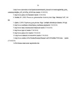 Referāts 'Finanšu analīze. Autotransporta detaļu un piederumu ražotnes izveide', 32.