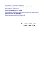 Referāts 'Ernans Kortess', 4.