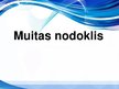 Prezentācija 'Muitas nodoklis', 1.
