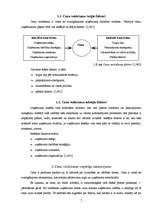 Referāts 'Transporta pakalpojumu cenu veidošanas ekonomiskie apstākļi', 7.