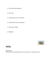 Referāts 'Itāļu virtuve', 2.