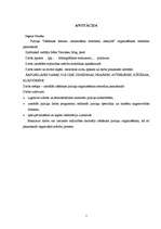 Referāts 'Izšūšanas pulciņa organizēšana pamatskolā', 2.