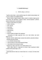 Referāts 'Izšūšanas pulciņa organizēšana pamatskolā', 7.