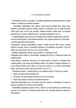 Referāts 'Izšūšanas pulciņa organizēšana pamatskolā', 13.