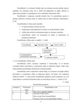 Diplomdarbs 'SIA "X" saimnieciskās darbības analīze un pilnveidošanās iespējas', 19.