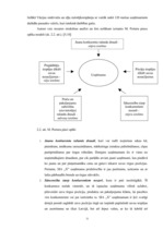 Diplomdarbs 'SIA "X" saimnieciskās darbības analīze un pilnveidošanās iespējas', 31.