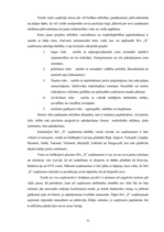 Diplomdarbs 'SIA "X" saimnieciskās darbības analīze un pilnveidošanās iespējas', 56.