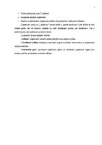 Prakses atskaite 'Prakses atskaite SIA "Liepkalni"', 7.