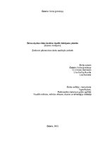 Referāts 'Dabas atpūtas vietas izveides iniciatīva Dobelē', 1.