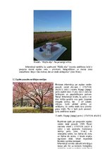 Referāts 'Dabas atpūtas vietas izveides iniciatīva Dobelē', 9.