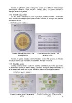 Referāts 'Dabas atpūtas vietas izveides iniciatīva Dobelē', 14.