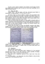 Referāts 'Dabas atpūtas vietas izveides iniciatīva Dobelē', 17.