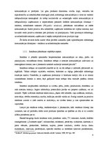 Diplomdarbs 'SIA "Vorteks" sieviešu apģērbu kolekcijas virzīšana Latvijas tirgū', 13.