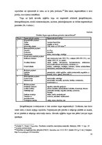 Diplomdarbs 'SIA "Vorteks" sieviešu apģērbu kolekcijas virzīšana Latvijas tirgū', 34.