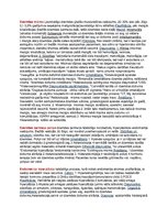 Konspekts 'Ginekoloģija', 1.