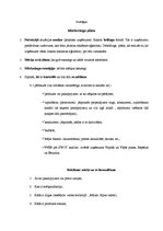 Konspekts 'Mārketinga plāns', 1.