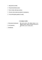 Konspekts 'Mārketinga plāns', 2.