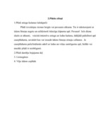 Konspekts 'Plūdi', 4.