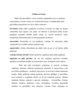 Konspekts 'Plūdi', 7.