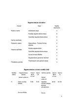 Paraugs 'Treniņu sagatavošanas plāns 2012.-2013.gadam', 2.