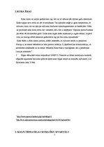 Referāts 'Jaunradītais interjers Kalnciema ielā 33 - viena no atdzimušajām ēkām koku ēku k', 5.