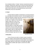 Referāts 'Jaunradītais interjers Kalnciema ielā 33 - viena no atdzimušajām ēkām koku ēku k', 11.