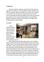 Referāts 'Jaunradītais interjers Kalnciema ielā 33 - viena no atdzimušajām ēkām koku ēku k', 16.