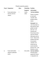 Paraugs 'Sākumskolas prakses kompetenču apraksts filmētajam materiālam', 1.