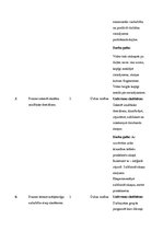 Paraugs 'Sākumskolas prakses kompetenču apraksts filmētajam materiālam', 3.