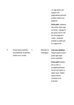 Paraugs 'Sākumskolas prakses kompetenču apraksts filmētajam materiālam', 4.